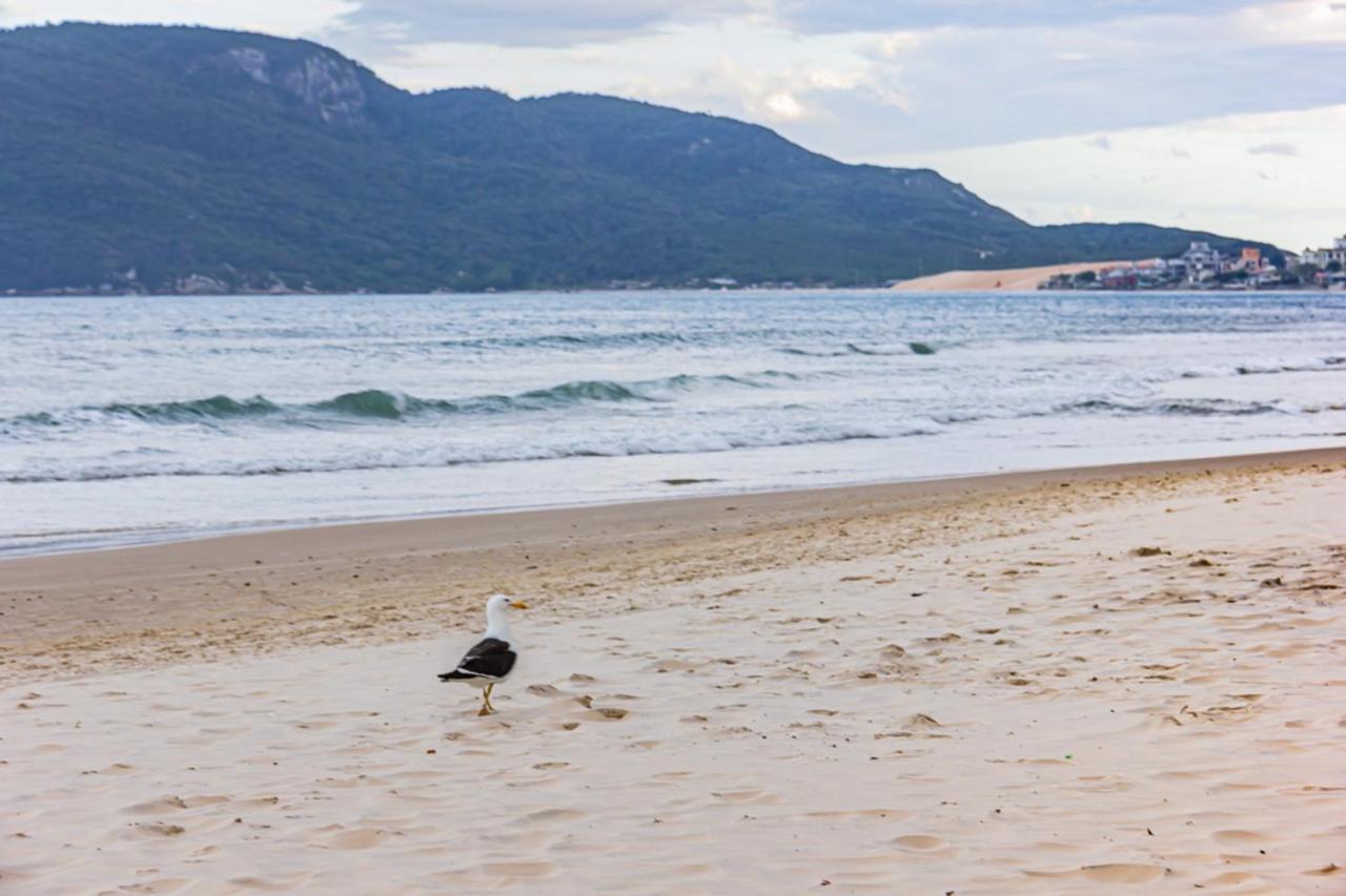 Florianópolis Cobertura Com Vista Mar Para 6 Hospedes, 150 Metros Da Praia Dos Ingleses Ing17 מראה חיצוני תמונה
